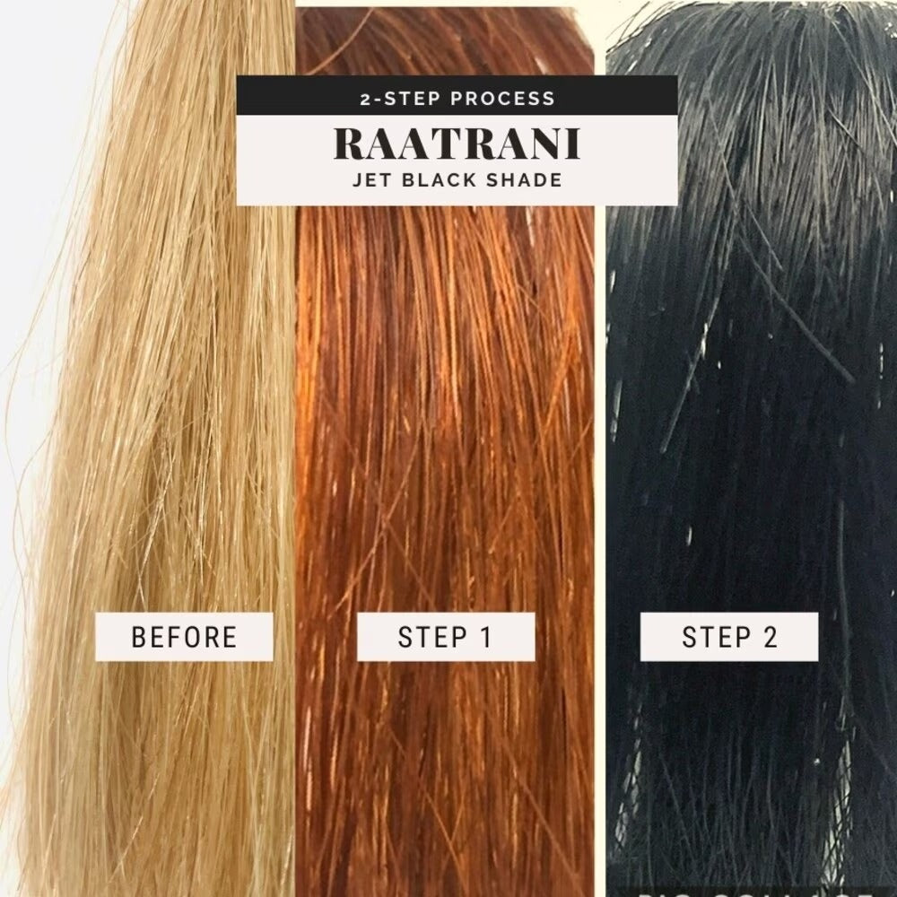 SVA Raatrani Plant-Based Hair Dye Kit - Jet Black Shade 200g