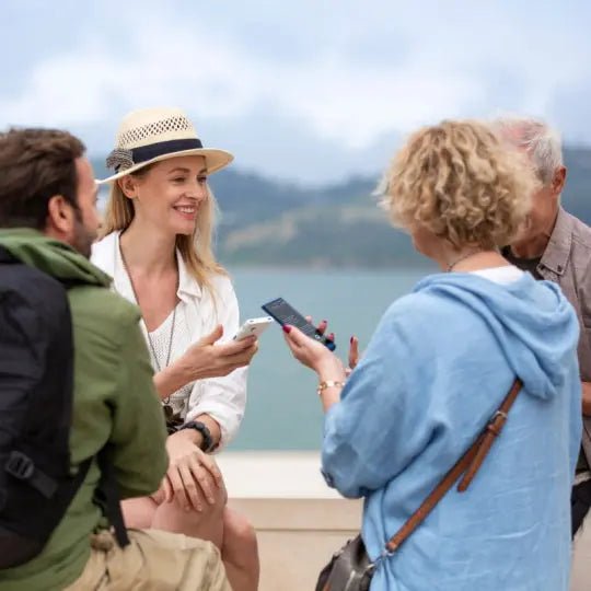 Vasco Translator V4.