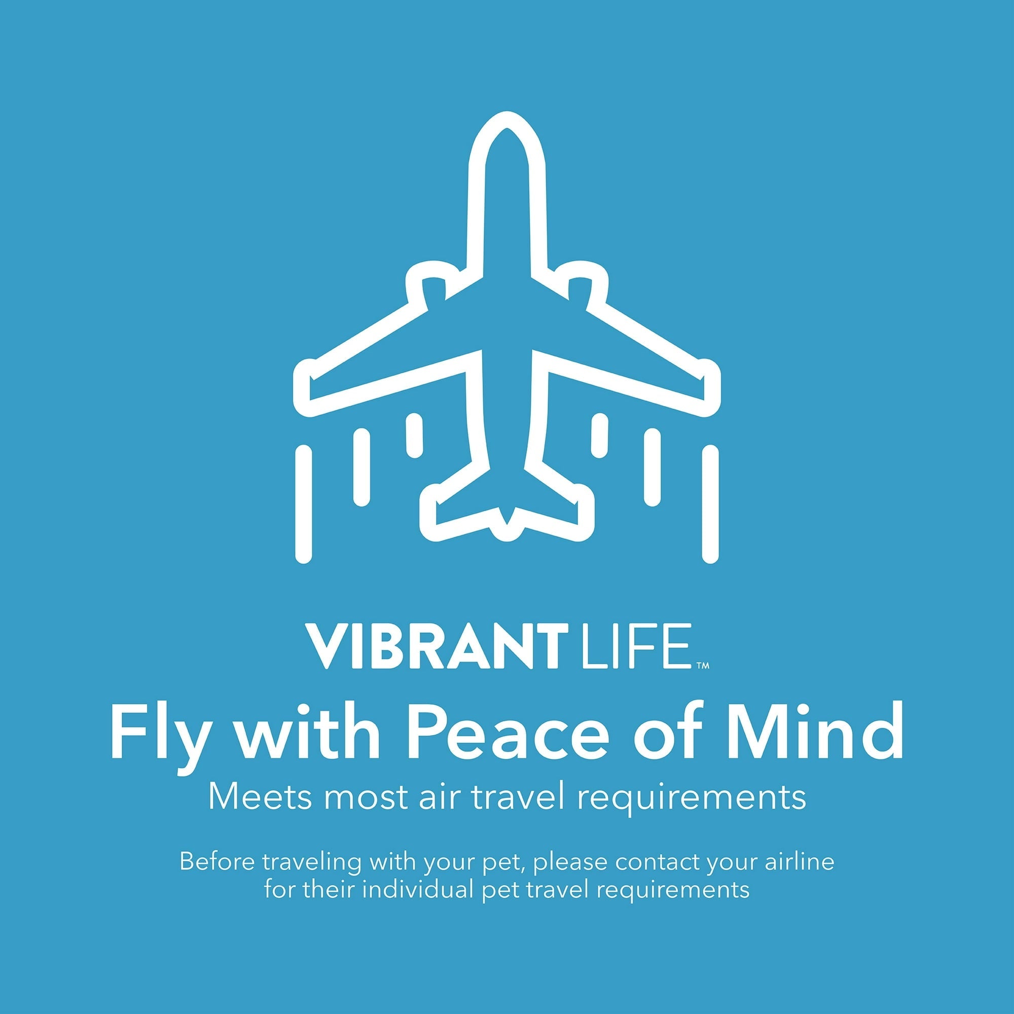 Vibrant Life Pet Kennel Large 40" Dog Crate, Plastic Travel Pet Carrier for Pets 70-90 lb, Grey