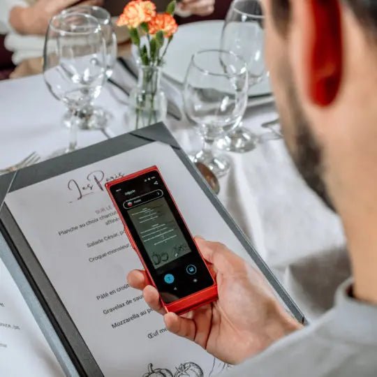 Vasco Translator V4.